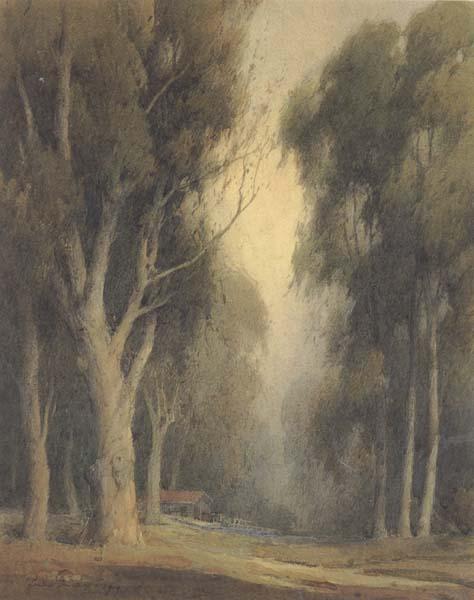 unknow artist Eucalyptus Trees,Burlingame oil painting image